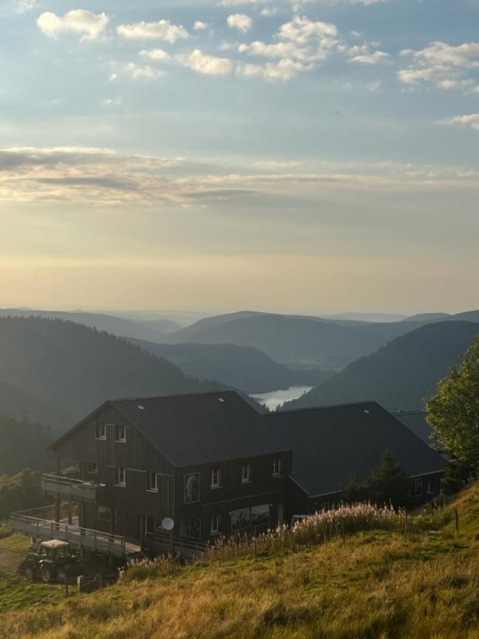 Le Chalet De La Folie Corcieux المظهر الخارجي الصورة